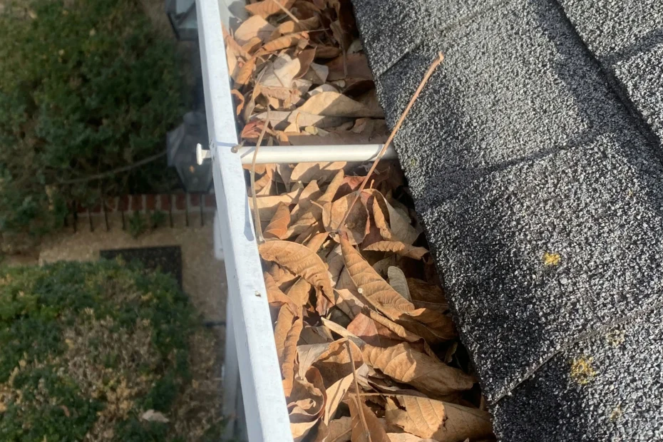 Gutter Cleaning Waldorf